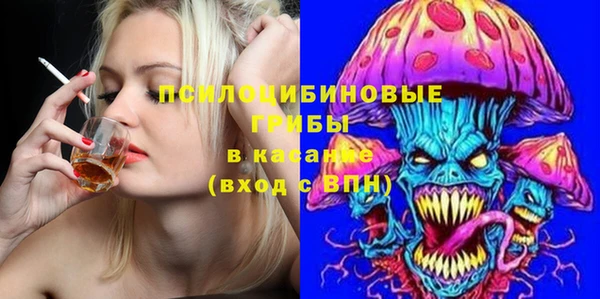 винт Карпинск