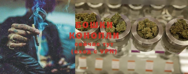 винт Карпинск