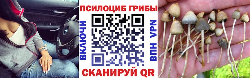 Псилоцибиновые грибы Cubensis  Купить закладки  Чапаевск 